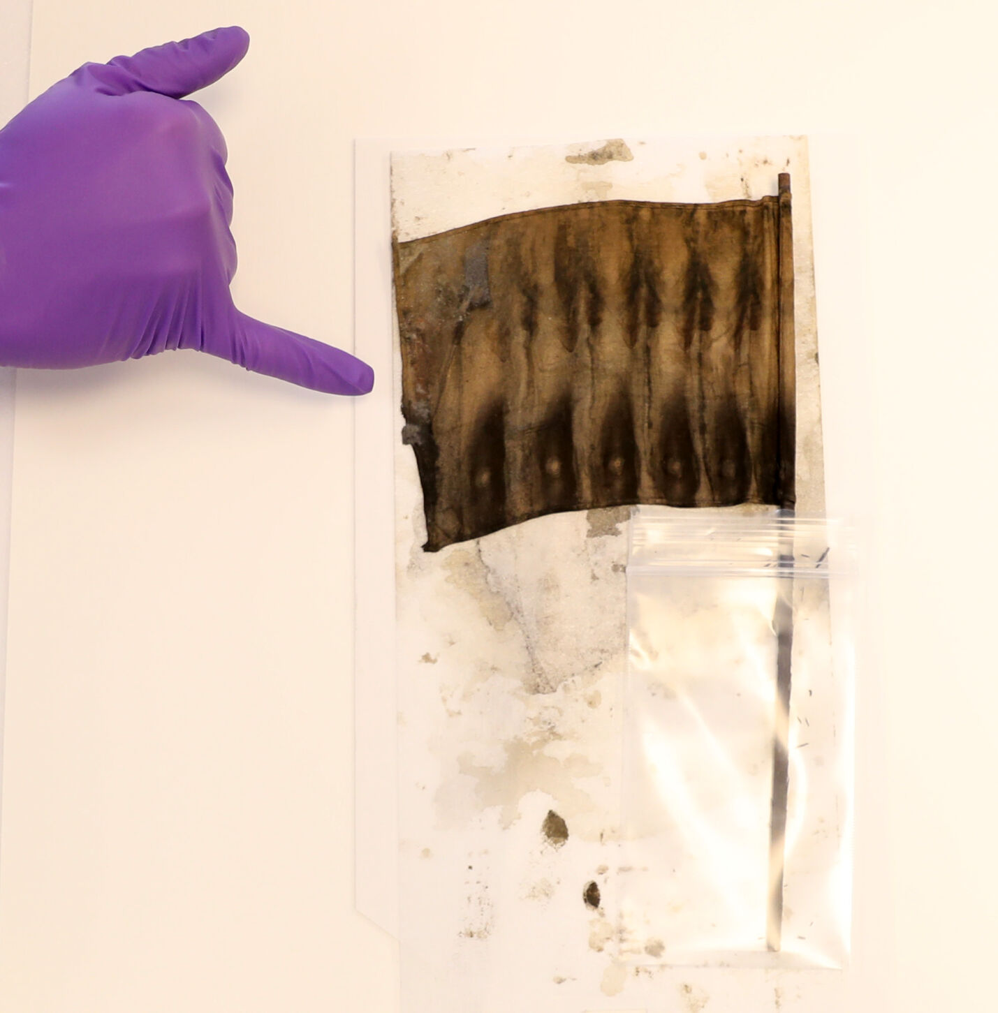 Time capsule flag